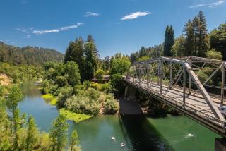 Rocktop Lodge - Forestville - 6