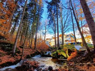 Apartament Kilińskiego 17A/9 - 8