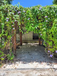 Eventos Villa Garden - 2