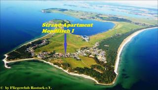 Strandapartment-Mondfisch an der Ostsee - Thiessow - 9