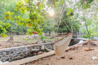 Secluded Forest Escape, Peechi - Pattikad - 2