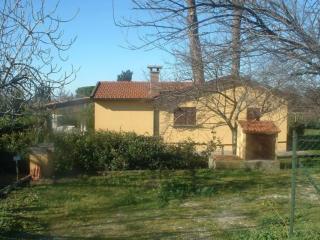 Ferienhaus in Cecina mit Großem Garten - Cecina - 9