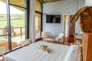 Suites Niditas - Yuso - 1