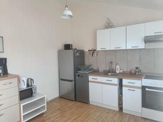 Spacious Apartment Panemune - Kaunas - 9