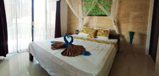 D Jana - Amed - 4