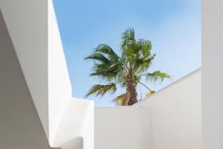 Bossa Bahamas Suites by Fergus - Playa d'en Bossa - 1
