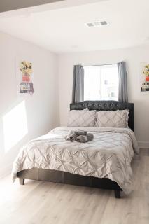 1BR/1B Plush Peaceful Escape - Dallas - 6