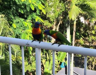 Hampton's Style Beach Retreat in Noosa's Heart - Noosa Heads - 7