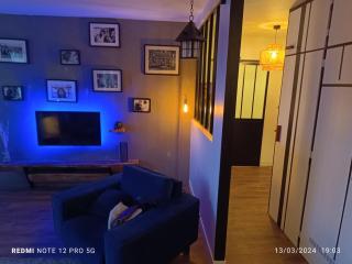Magnifique appartement quartier la Roseraie - Toulouse - 2