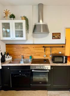 Glanz und Gloria Weingartenapartment an der Kellerstraße, viele Buschenschänke, sehr ruhige Lage, herrliche Aussicht! - 8