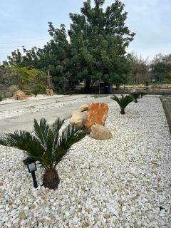 The stone nest - 7