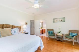 Hale Cassia - 1
