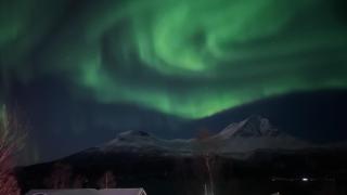 Artic Dream - Gratangen - 2