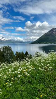 Artic Dream - Gratangen - 6