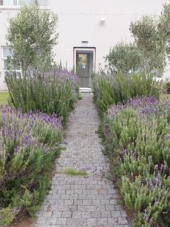 Lieflappie❤ - Stilbaai - 1