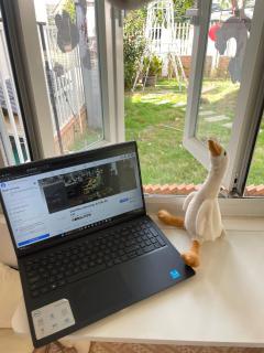 Chái Nho Homestay - 5