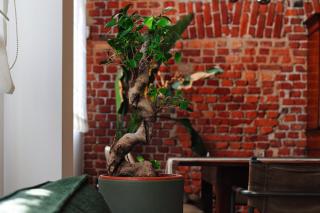 MPM- Luxury Loft Navigli - Milan - 9