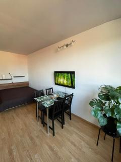 Apartment in Ljubljana center - Liubliana - 9
