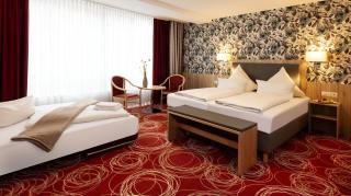 Hotel Löwengarten - Speyer - 6