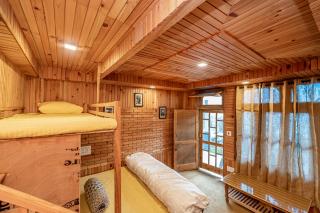 NotOnMap-Tirthan Quest Homestay Talihar - 8