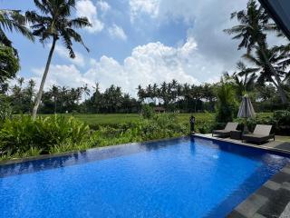 Sunset Pandawa Villa - Ubud - 9