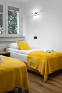 Apartament Pogodny Lazur - Kudowa-Zdrój - 9