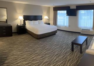 Best Western Plus Valdosta Hotel & Suites - Valdosta - 9