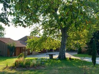 Le Clos de Ceintres - Cheminas - 0