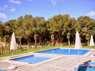 Villa El Palmeral Casa con piscina en Petra - 6