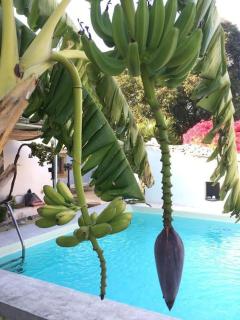 Casa Vignali country house - 9