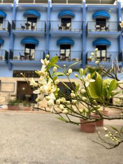 Hotel Al Faro - Licata - 9