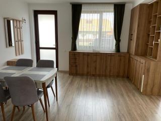 Fenyő Apartman - Odorheiu Secuiesc - 7