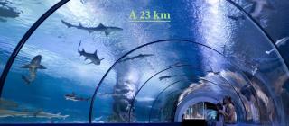 Chambre d’hôte à 13 minutes de Disneyland - 3