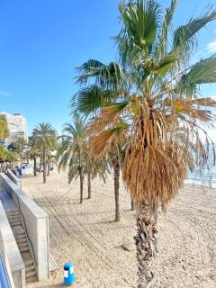 A 100m de la playa. 2 hab. A/C - Alicante - 5