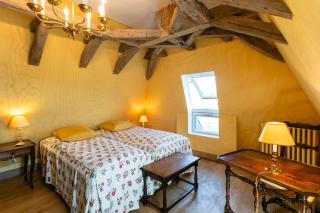 Majestic Castle near Lascaux Caves - Thonac - 4