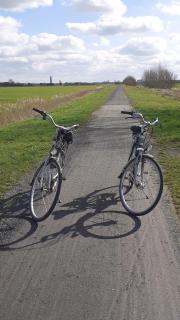 a l'aise aan zee - Coxyde - 5