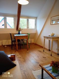 Gemütliches Schwalbennest, Resthof, Dachterrasse in Schaalseenähe - Sterley - 6