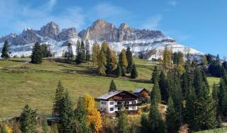 LAKE & RIVER Hotel - Carezza al Lago - 3