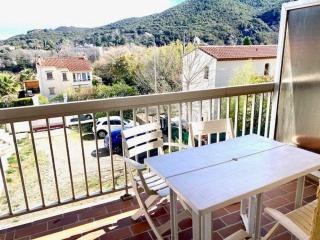 Appartement F2 avec balcon à Amélie-les-Bains - 2 couchages, animaux acceptés, bien équipé - FR-1-703-64 - Amélie-les-Bains-Palalda - 4
