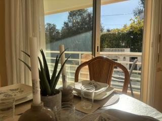 Appartement 2P à Juan les Pins : emplacement idéal, parking, terrasses, proche plage et commerces - FR-1-252-188 - Antibes - 7