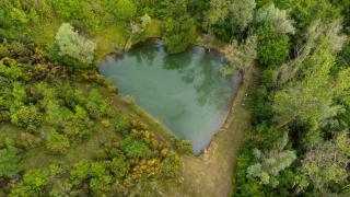 Agriturismo Castel d'Alfiolo-Barcomonte - 9