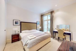 Stunning 2BD flat in South Kensington with a patio - Londra - 4