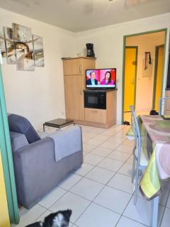 les goelettes - Saint-Cyprien - 3