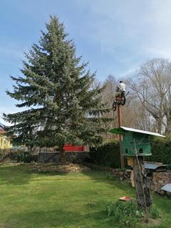 Ferienwohnung Fleischer - Mitterteich - 7