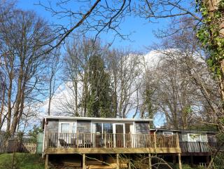 Treetops - Caernarfon - 0