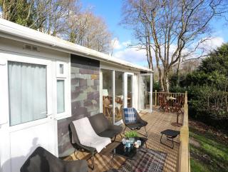 Treetops - Caernarfon - 9
