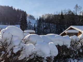 Chalupa u Anenské - Žďárský Potok - 5