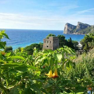 Camping Villaggio Nettuno - Nerano - 9