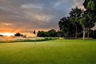 Stunning Golf Course View in Denver - 3