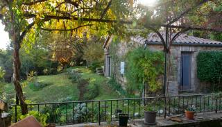 Les IRIS des Rieux - 9